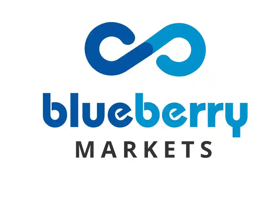 Blueberry Markets