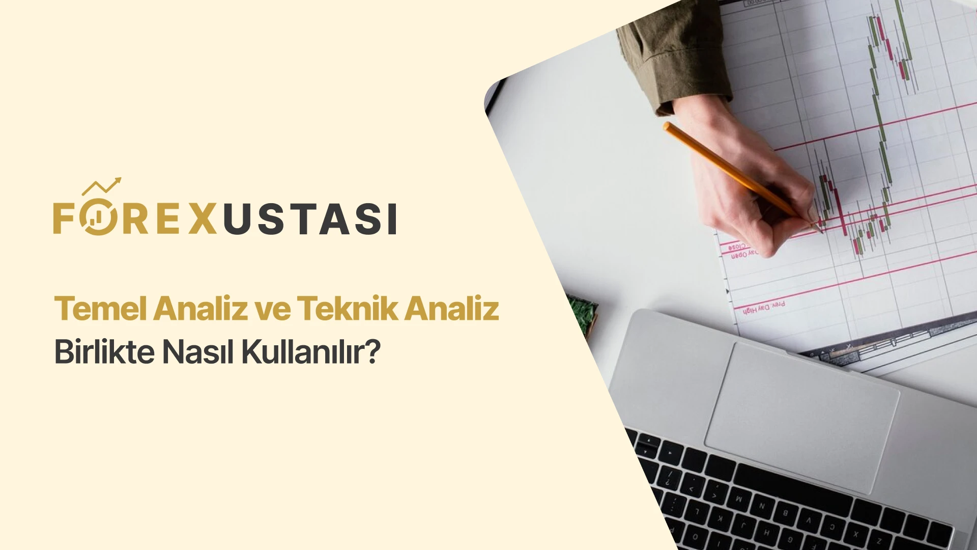 Temel Analiz ve Teknik Analiz Birlikte Nasıl Kullanılır?