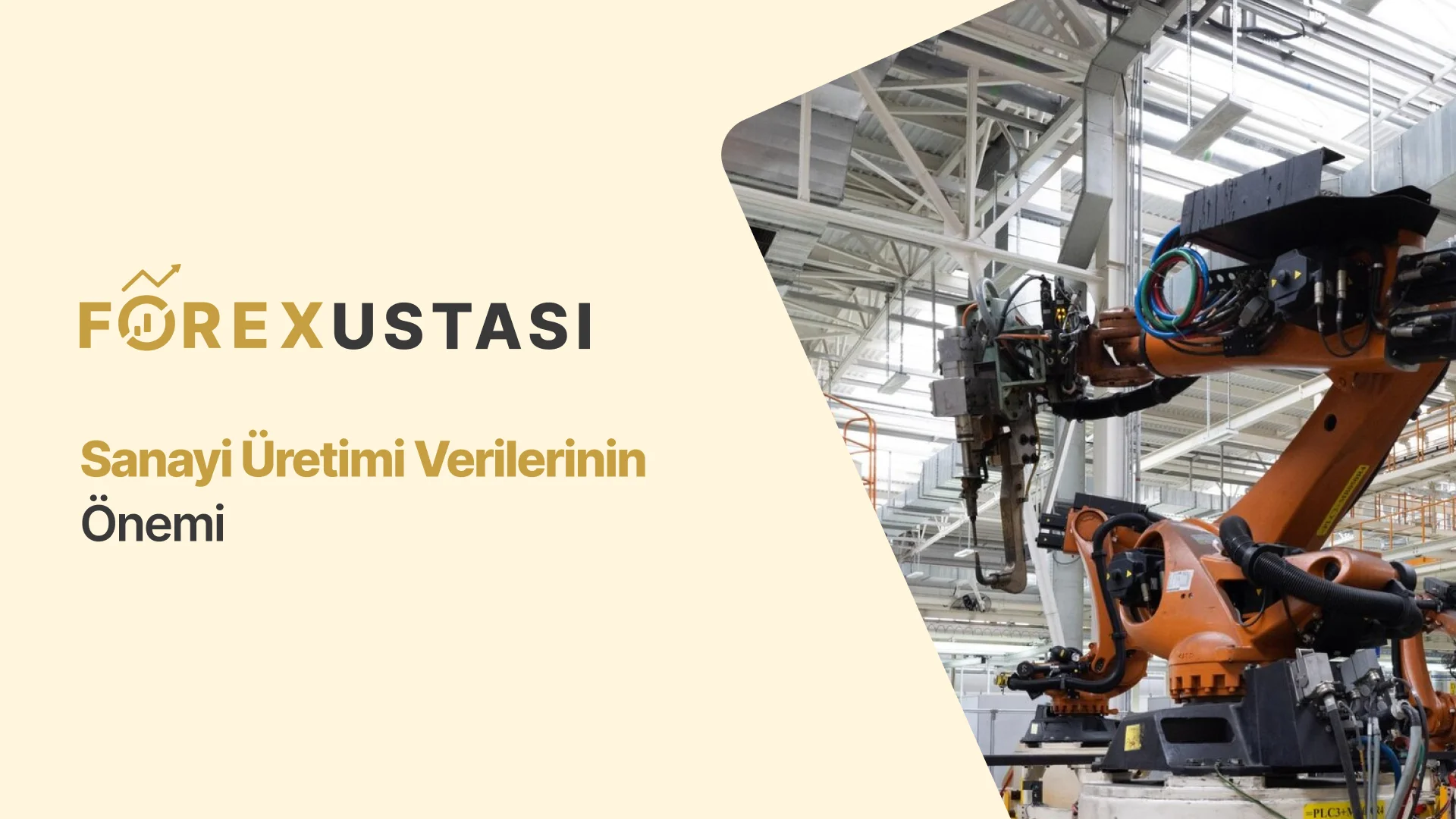 Sanayi Üretimi Verilerinin Önemi