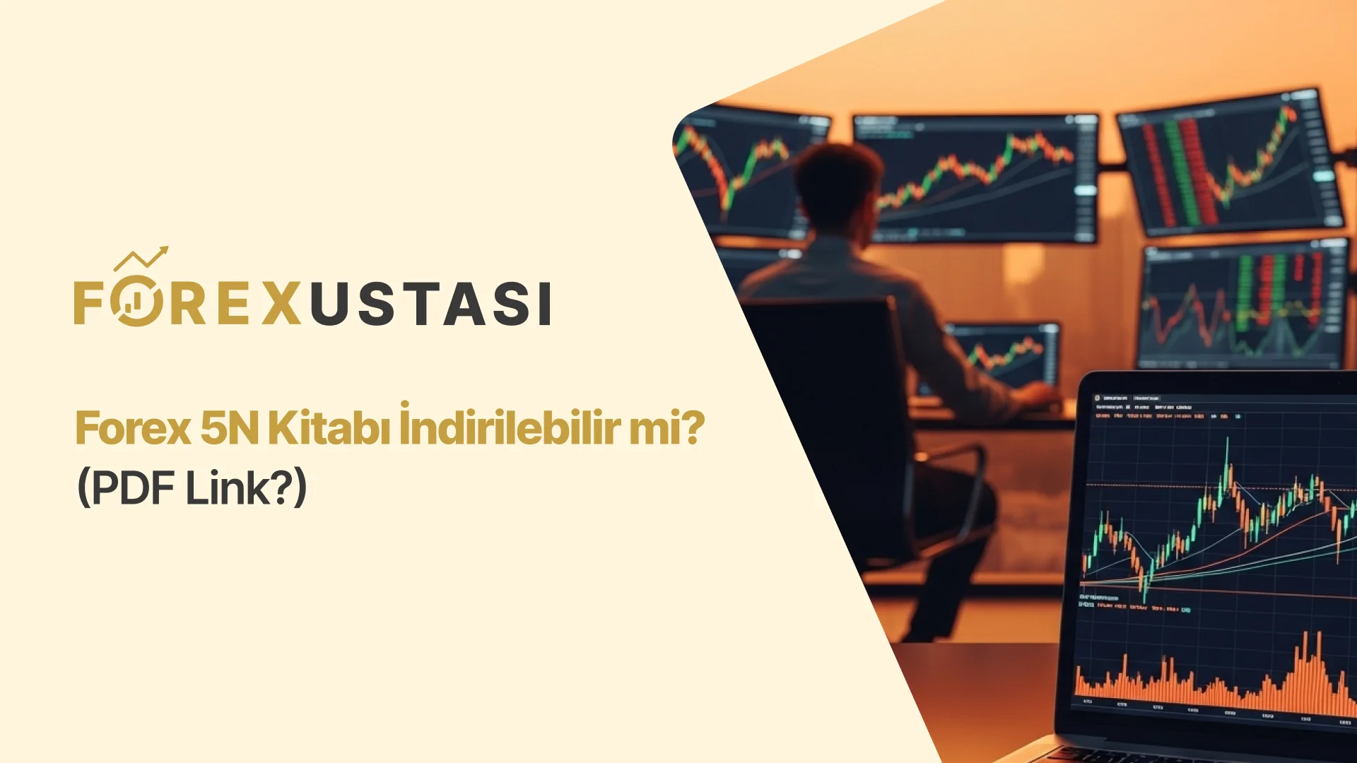 Forex 5N Kitabı İndirilebilir Mi? (PDF Link?)